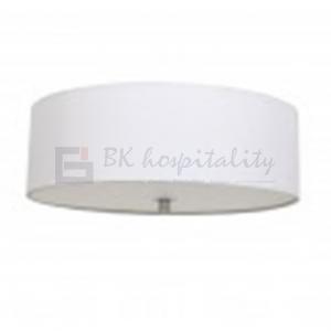 Ceiling Light Fixture Ceiling Light Fixture